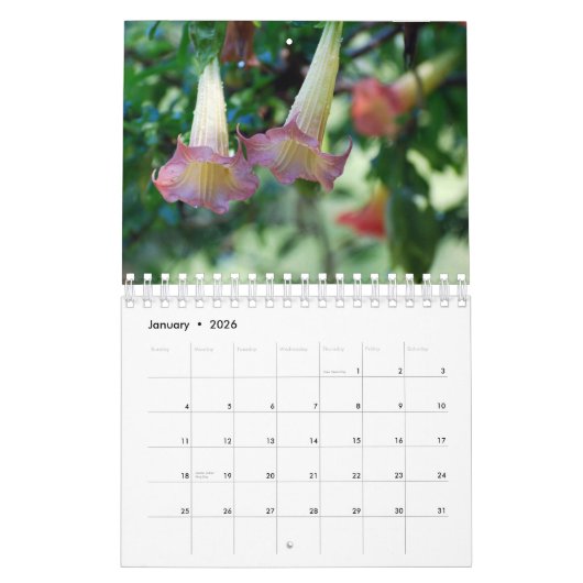 Natur-Fotografie-Kalender Kalender (Jan 2026)