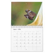 Natur-Fotografie-Kalender Kalender (Mär 2026)
