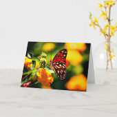 Natur-Fotografie Karte (Gelbe Blume)