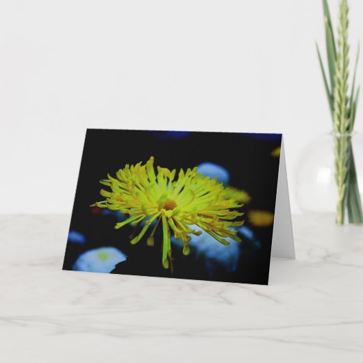 Natur-Fotografie Karte (Vorderseite)