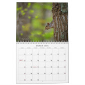 Natur-Fotografie nah an Zuhause durch Timothy Kalender (Mär 2026)