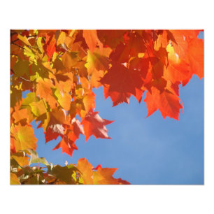 Natur-Fotografiekunst druckt Herbst-Blätter Fotodruck