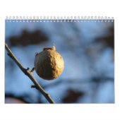 Natur-Fotos Kalender (Titelbild)