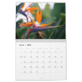 Natur-Fotos von Kaui Kalender (Mär 2026)