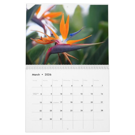 Natur-Fotos von Kaui Kalender (Mär 2026)