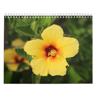Natur-Fotos von Kaui Kalender