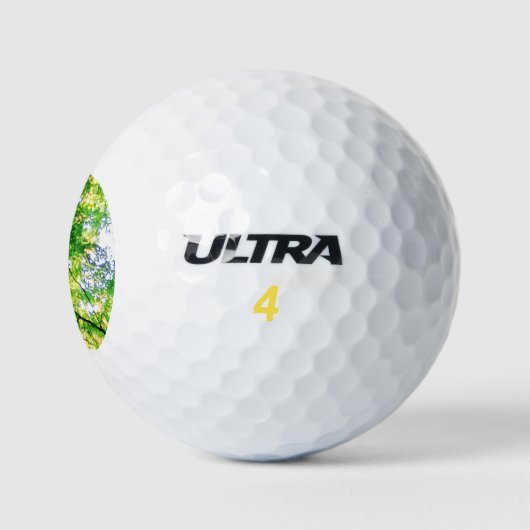 Natur gerettet golfball (Logo)