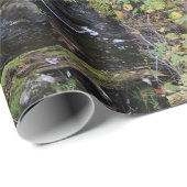 Natur Geschenkpapier (Rolleneckpunkt)
