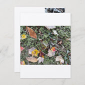 Natur harter Frost, flache Note Card Mitteilungskarte (Vorne/Hinten)