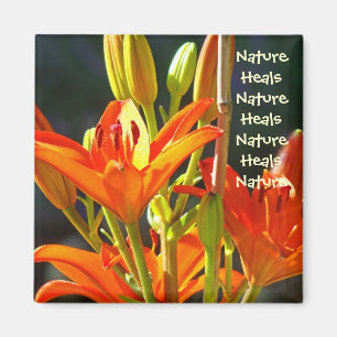 Natur Heilt Natur Heilt Magnet Orange Lilie