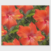 Natur, Hibiskus, Blume, Sommer, Blumen, tropische Geschenkpapier (Flach)