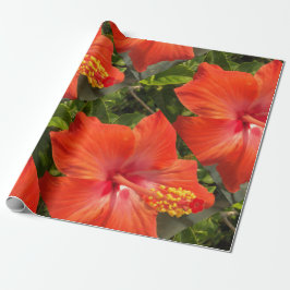 Natur, Hibiskus, Blume, Sommer, Blumen, tropische Geschenkpapier