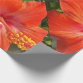 Natur, Hibiskus, Blume, Sommer, Blumen, tropische Geschenkpapier (Ecke)
