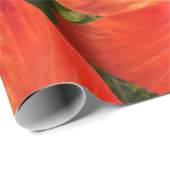 Natur, Hibiskus, Blume, Sommer, Blumen, tropische Geschenkpapier (Rolleneckpunkt)