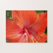 Natur, Hibiskus, Blume, Sommer, Blumen, tropische Puzzle (Horizontal)