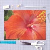 Natur, Hibiskus, Blume, Sommer, Blumen, tropische Seidenpapier (Handwerk)