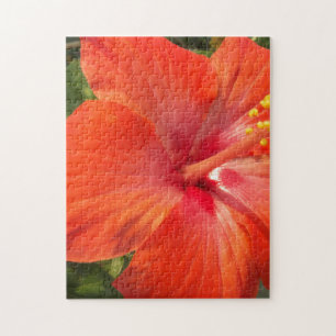 Natur, Hibiskus, Blume, Sommer, floral, tropisch Puzzle