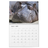 Natur Hippopotamus Kalender (Mär 2027)