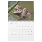 Natur Hippopotamus Kalender (Feb 2027)