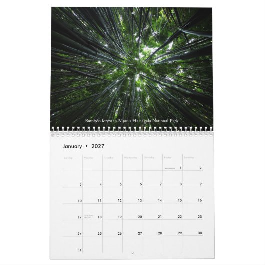 Natur hüten - Vol. 1 Kalender (Jan 2027)