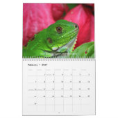 Natur hüten - Vol. 1 Kalender (Feb 2027)