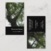 Natur/immergrüner Kampfer-Baum Visitenkarte (Vorne/Hinten)