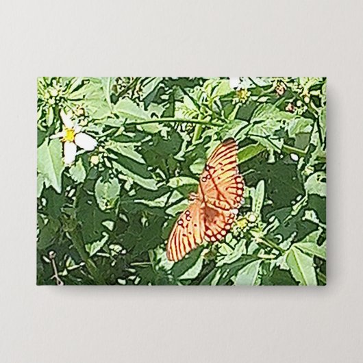 Natur in Bestform Button (Vorderseite)
