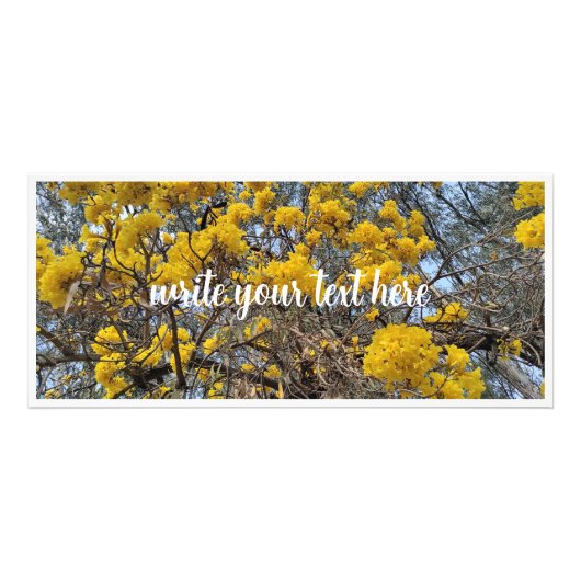 Natur in Blüte Werbekarte (Vorne)