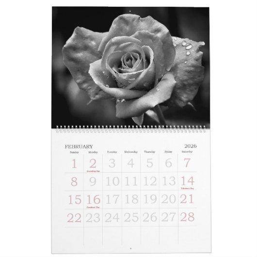Natur in Schwarz und Weiß 2024 Kalender (Feb 2026)