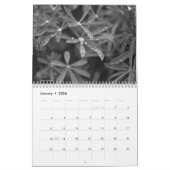 Natur in Schwarz und Weiß Kalender (Jan 2026)