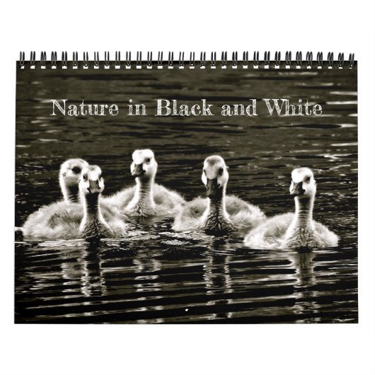 Natur in Schwarz und Weiß Kalender (Titelbild)