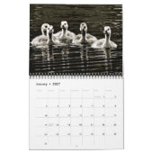 Natur in Schwarz und Weiß Kalender (Jan 2027)