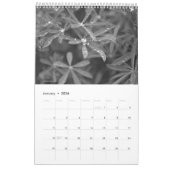 Natur in Schwarz-Weiß-Kalender Kalender (Jan 2026)