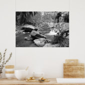 Natur in schwarz-weiß poster (Küche)