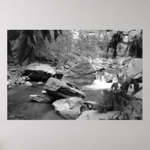 Natur in schwarz-weiß poster