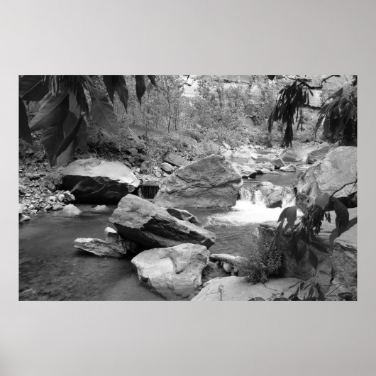 Natur in schwarz-weiß poster (Vorne)