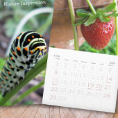 Natur-Inspiration-Foto Kalender