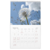 Natur-Inspiration-Foto Kalender (Feb 2027)
