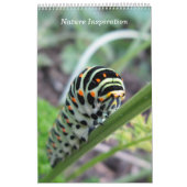 Natur-Inspiration-Foto Kalender (Titelbild)