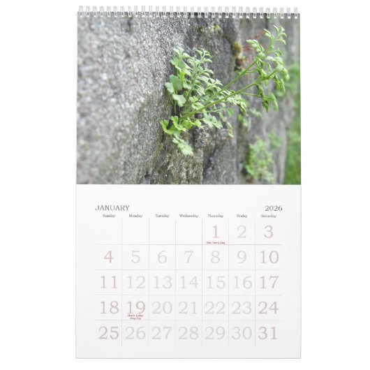 Natur-Inspiration-Foto Kalender (Jan 2026)