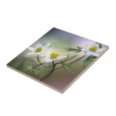 Natur Inspirationen Delikate weiße Blume Fliese (Seite)