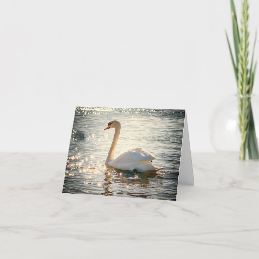 Natur Inspirationen Eleganter Schwan (Vorderseite)
