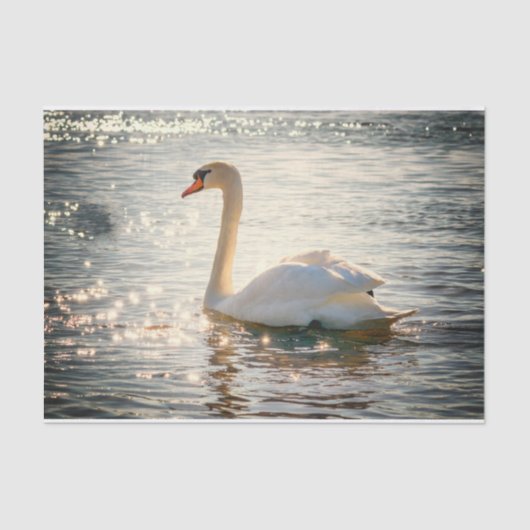 Natur Inspirationen Eleganter Schwan Seidenpapier (Vorderseite)