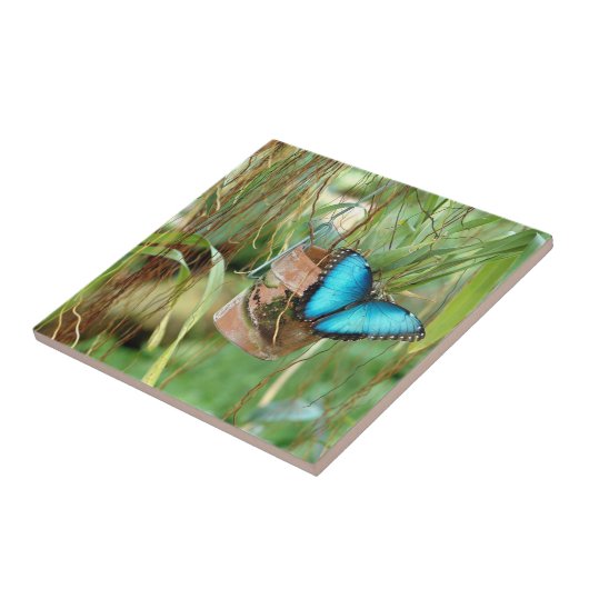 Natur Inspirationen Helle blaue Schmetterlinge Fliese (Seite)