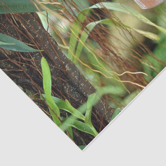 Natur Inspirationen Helle blaue Schmetterlinge Seidenpapier (Ausschnitt)