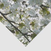 Natur-Inspirationen Kirschblüten Seidenpapier (Ausschnitt)