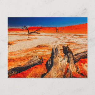 Natur-Inspirationen Namibia, Afrika Postkarte