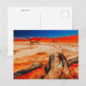 Natur-Inspirationen Namibia, Afrika Postkarte (Vorne/Hinten)
