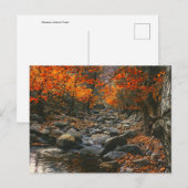 Natur-Inspirationen Rumänien, Herbstwald Postkarte (Vorne/Hinten)