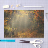 Natur Inspirationen Sonnenbrand Seidenpapier (Handwerk)